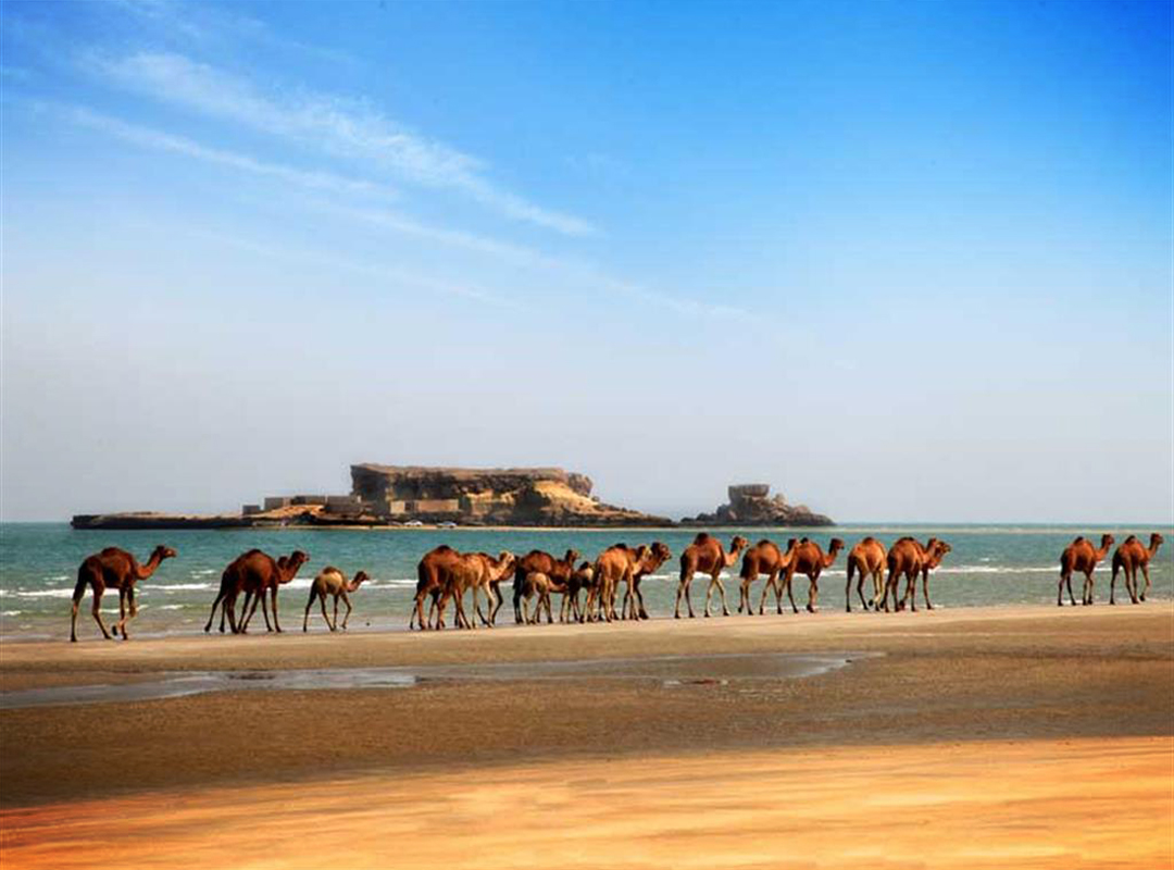 Travel to Iran: From Heritage to Persian Gulf