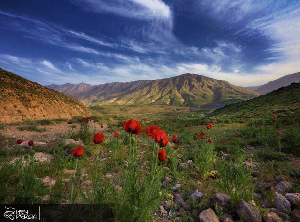 Is the protected area the same as Lar National Park in Iran?