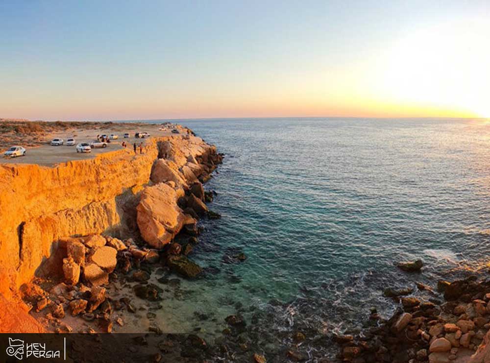 Vegetation of Nayband Marine National Park