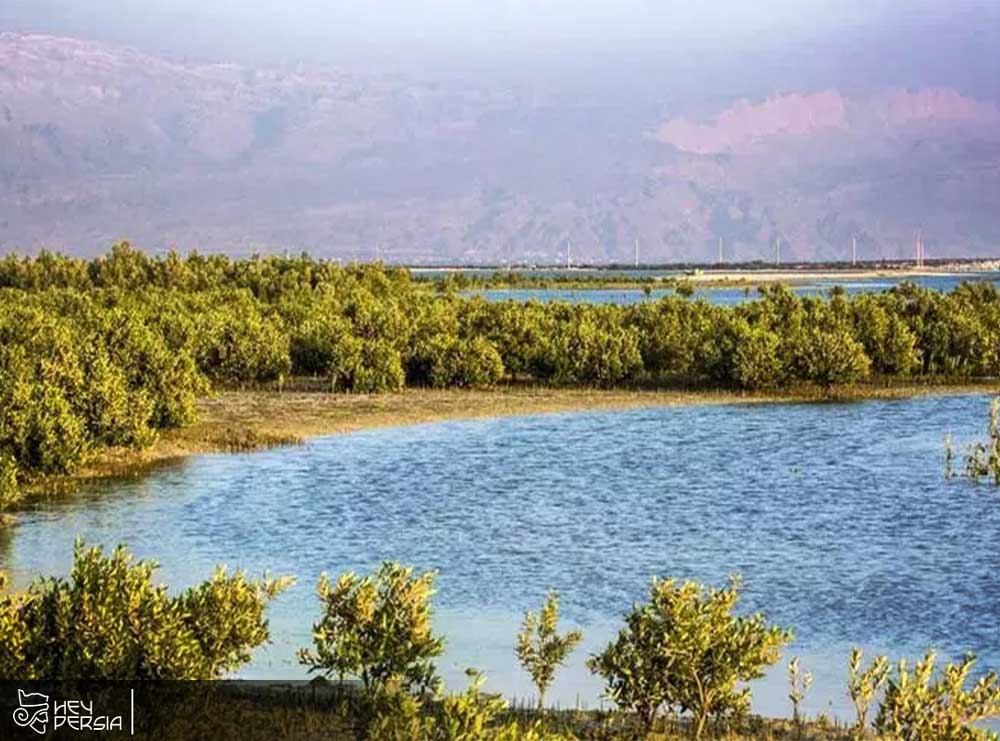 Naiand National Park in Iran