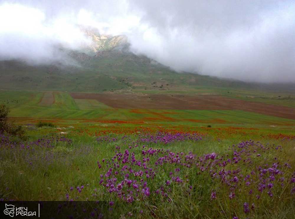 Saluk National Park in Iran