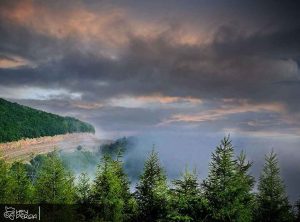 Shahrood Cloud Forest in Iran