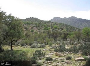 Boroiya Wildlife Sanctuary Iran