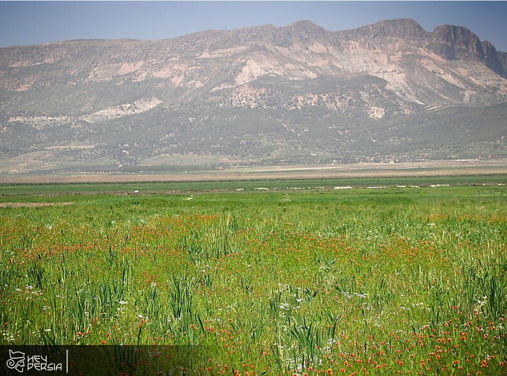 Introduction of Dasht Arjan in Iran