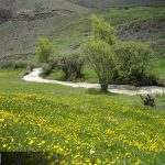 Yoush Village in Iran