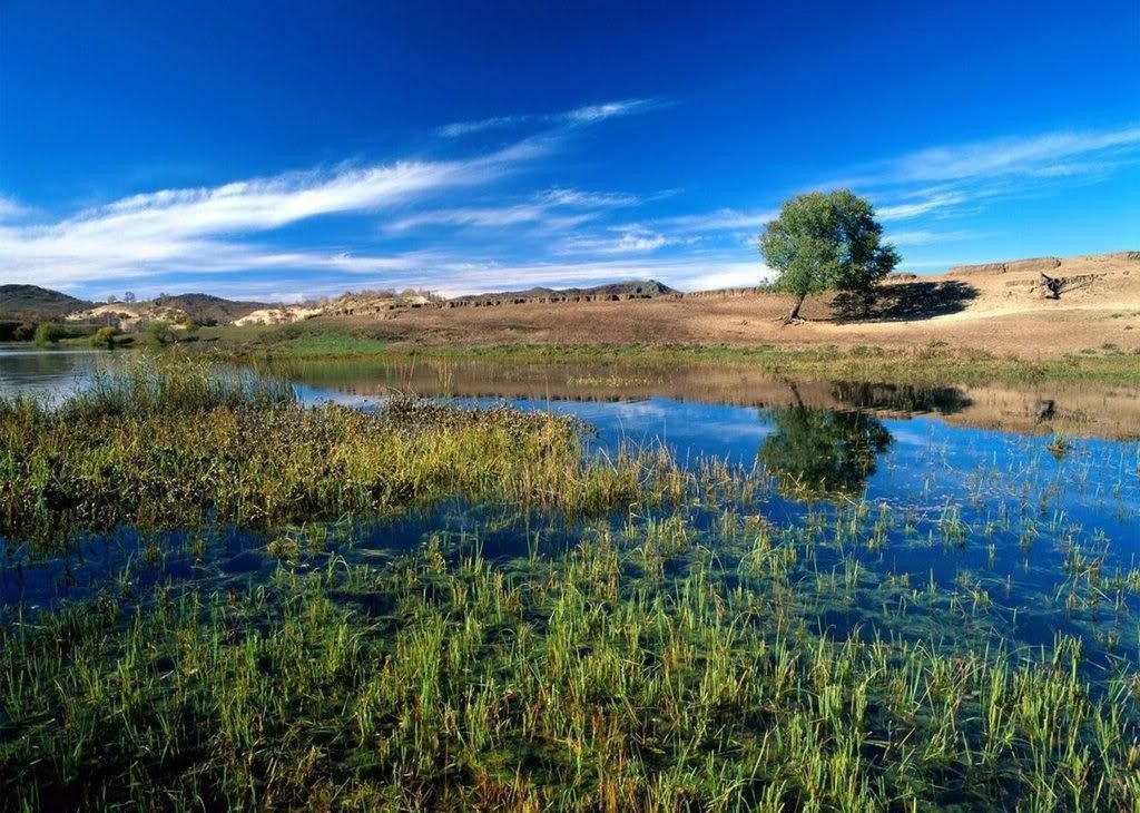 Lake Parishan is also known by various names, including Mor, Famor, Pirshon, Kazerun Wetland, Moz and Yun. But the most famous of them is Lake Famor.