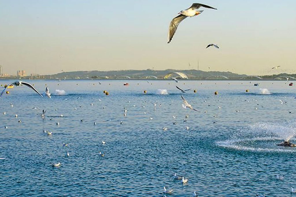 Lake Parishan or Lake Famor is a permanent lake located in Fars Province and Kazerun County.