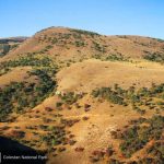 Golestan National Park, Iran’s Oldest National Park