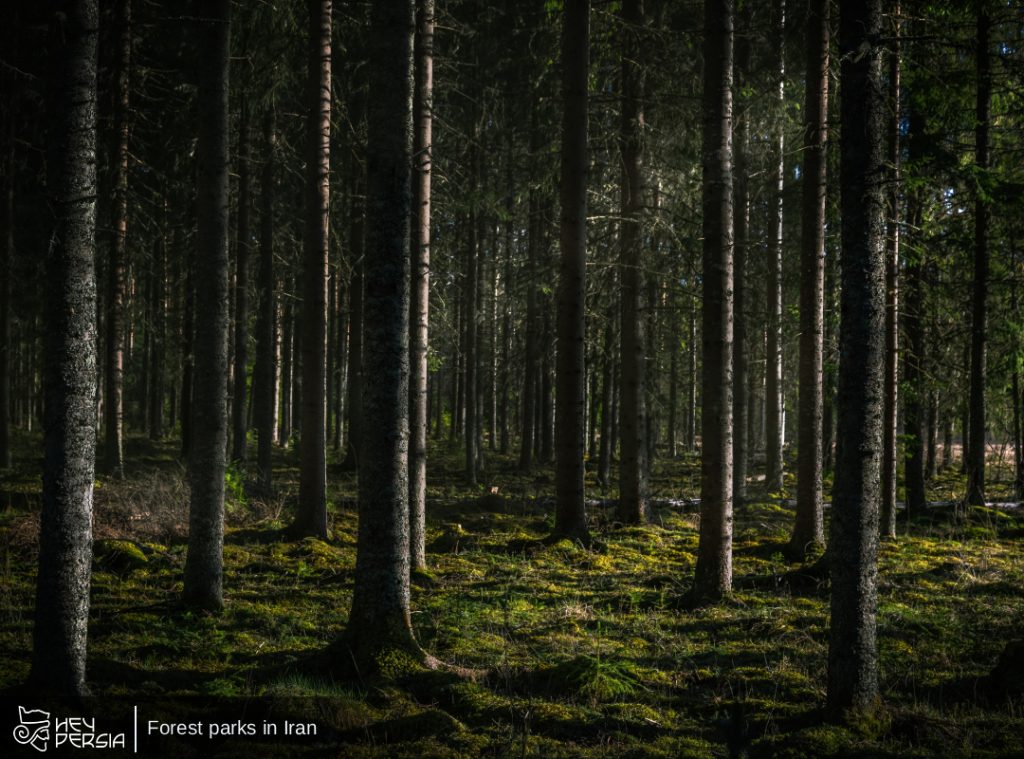 Forest Parks in Iran