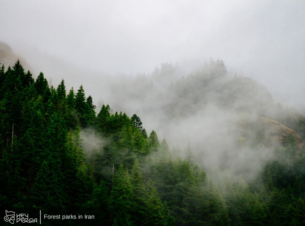 Major Forest Parks in Iran
