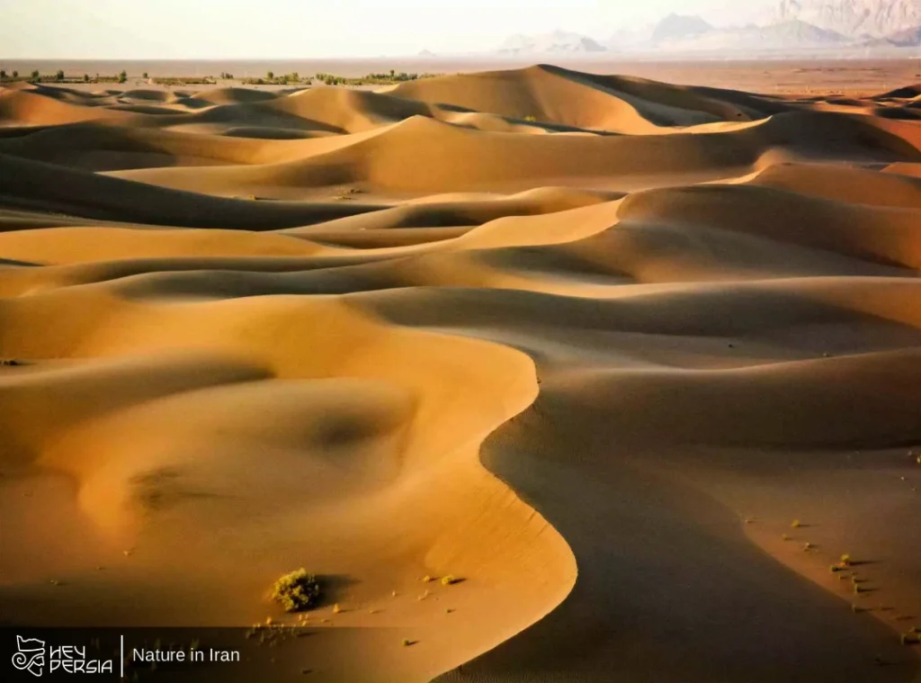 The Central Deserts — Silence and Stardust in Nature in Iran